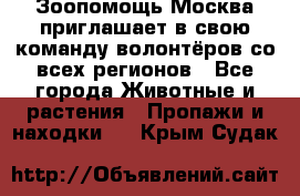 Зоопомощь.Москва приглашает в свою команду волонтёров со всех регионов - Все города Животные и растения » Пропажи и находки   . Крым,Судак